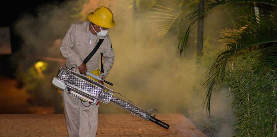 Exhorta SSO prevenir Dengue durante temporada de lluvias