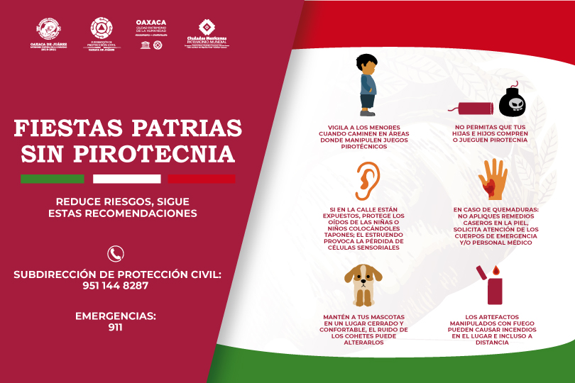 Exhorta Gobierno capitalino a no  usar pirotecnia en fiestas patrias