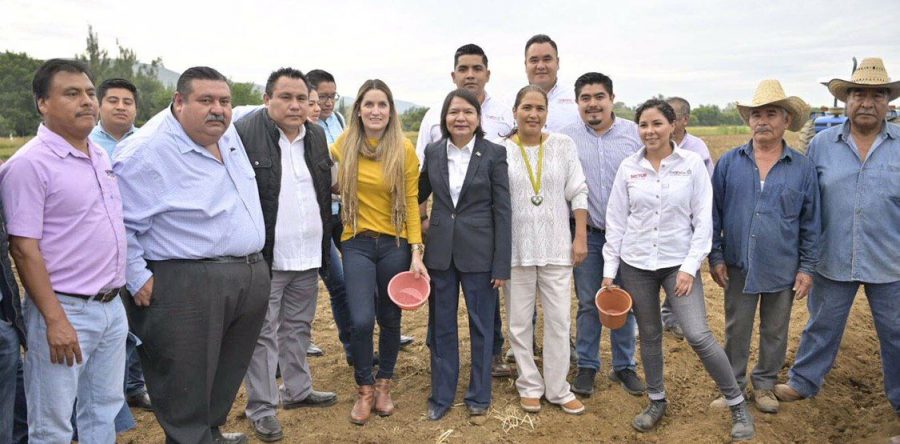 Con siembra de hortalizas, Ayuntamiento capitalino  inicia preparativos para la “Noche de Rábanos”