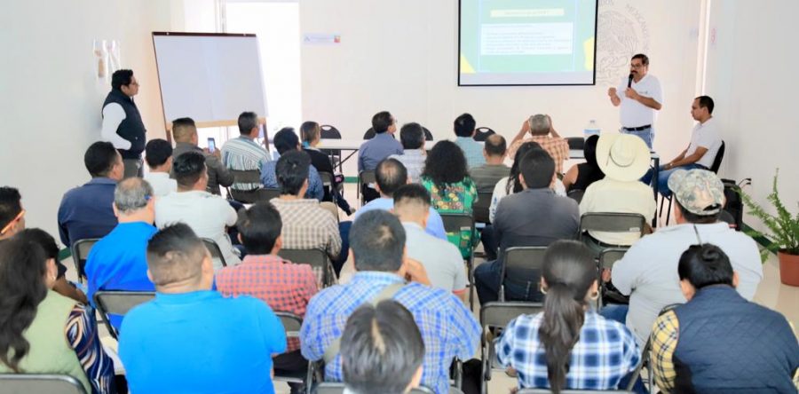 Presenta Semaedeso Programa de  Ordenamiento Ecológico regional en la Mixteca