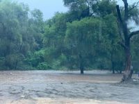 Abrirá Sedesoh centro de acopio para apoyar a población afectada por lluvias