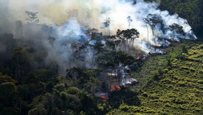 La tragedia de Bolsonaro y el Amazonas: *Francisco Ángel Maldonado Martínez