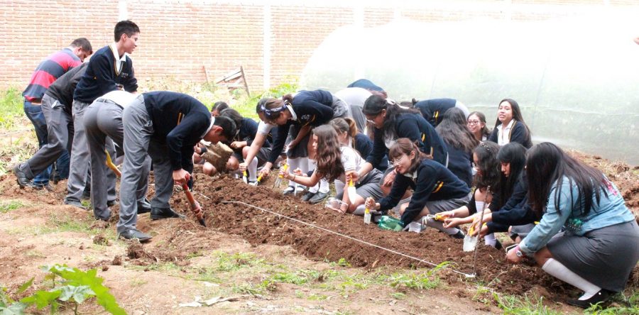 Gobierno de Oaxaca de Juárez promueve autosuficiencia alimentaria en jóvenes