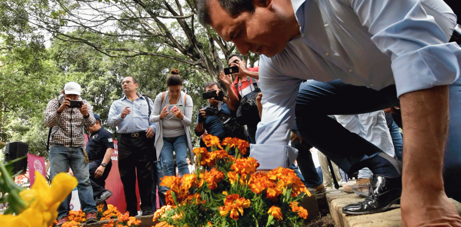 Embellece Ayuntamiento con flor de  cempasúchil jardineras del Zócalo