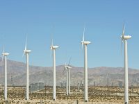 Oaxaca, líder nacional en producción de energía eólica