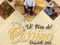 Vive este 20 de octubre la VI Feria del Carrizo Papalutla 2019