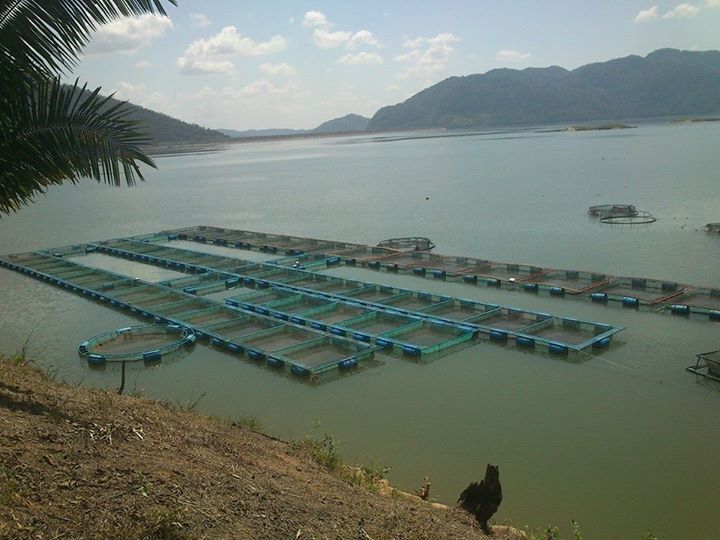 La acuacultura y pesca en Oaxaca deja derrama económica de más de medio millón de pesos