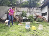 Se nebulizan 263 localidades de riesgo para dengue: SSO