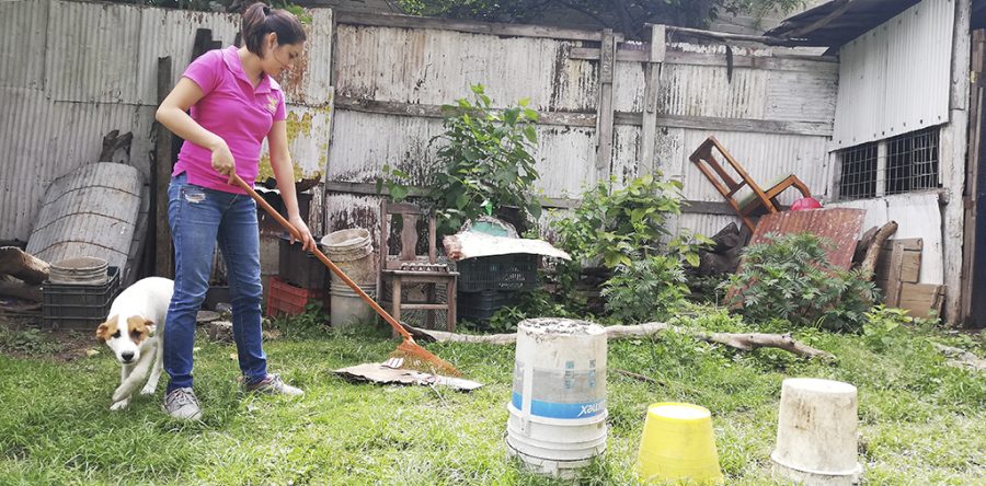 Se nebulizan 263 localidades de riesgo para dengue: SSO