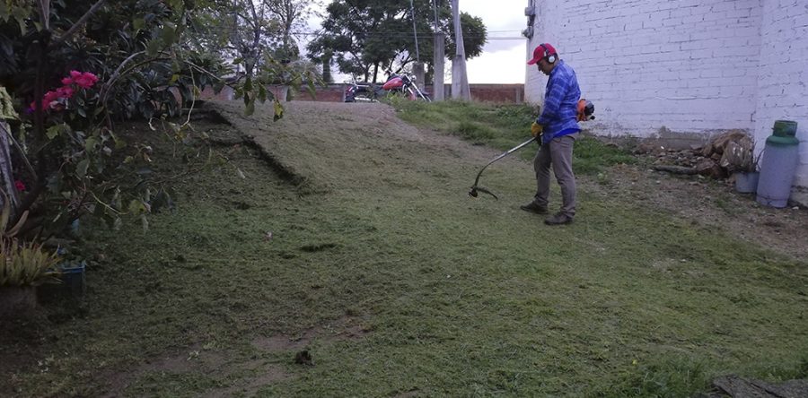 Convoca SSO participación de todas y todos para prevenir Dengue
