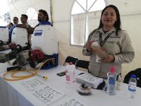 Une esfuerzos SSO y UABJO contra el dengue