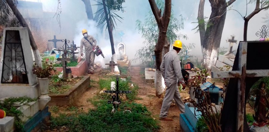 Alista SSO “Operativo Panteones” para evitar enfermedades trasmitidas por vector