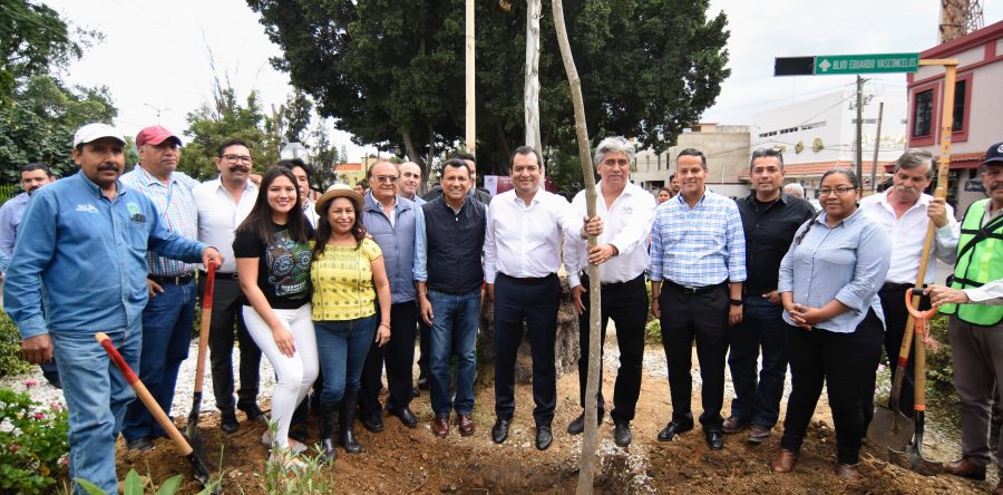 Ayuntamiento capitalino y Fundación Harp se unen contra el cambio climático