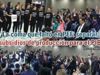 La coma que faltó en PEF: separar subsidios de producción para el PIB