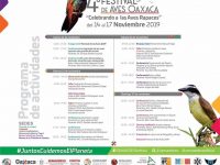 Hoy inauguran el IV Festival de las Aves Oaxaca