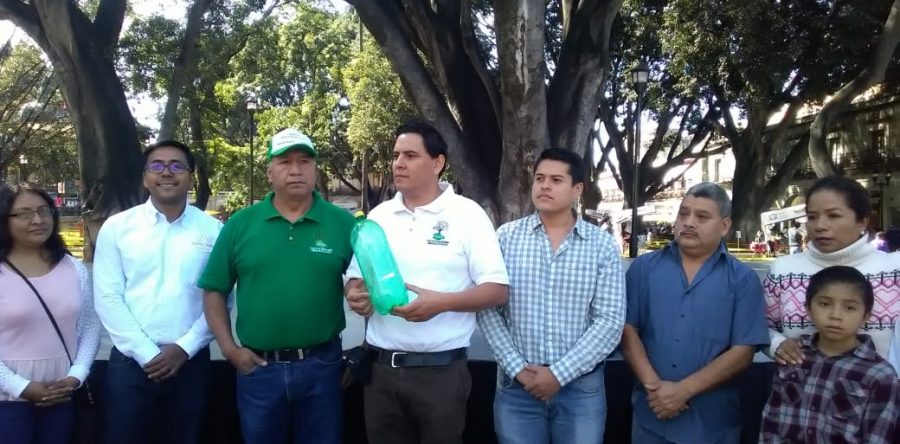 Instalarán árbol navideño elaborado con botellas de PET en Alameda de León