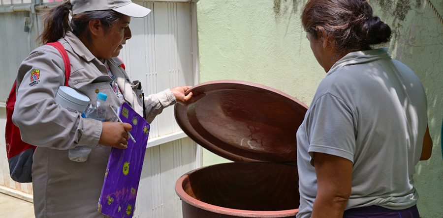 Baja incidencia de dengue en la entidad: SSO