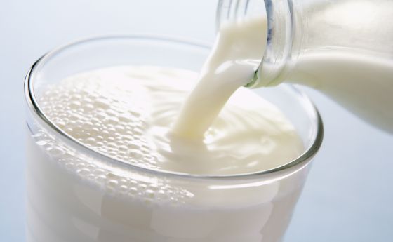 Productores exigen al Senado ley que advierta sobre ‘leche falsa’
