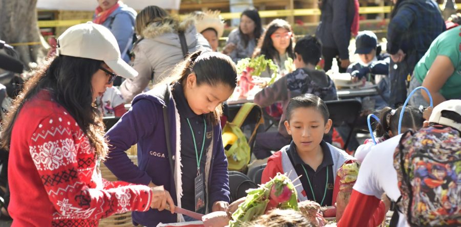 Con el concurso infantil, inicia la edición 122 de la tradicional Noche de Rábanos
