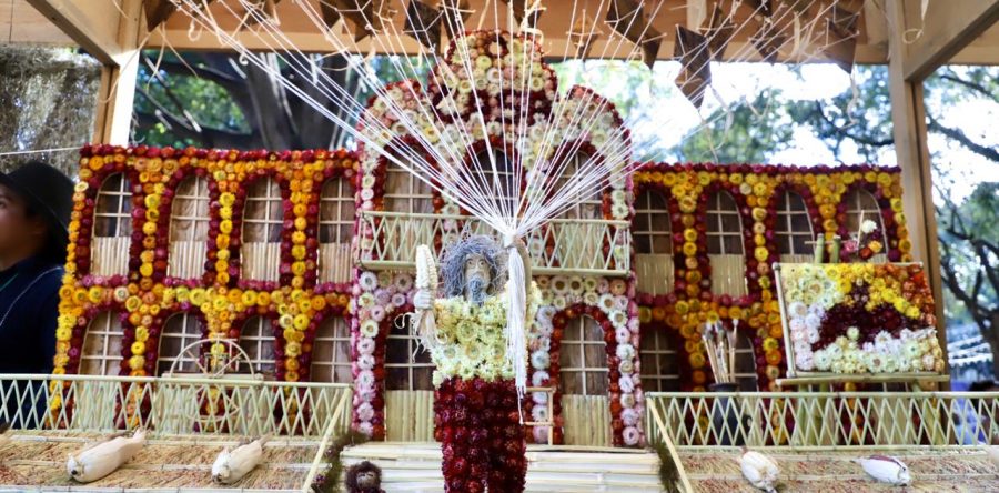 Noche de Rábanos, tradición que abona  a la historia y cultura de Oaxaca