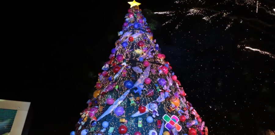 Navidad, símbolo de unidad y fraternidad: AMH