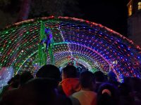 Presidente Municipal y Cabildo llevan a cabo el encendido del árbol navideño