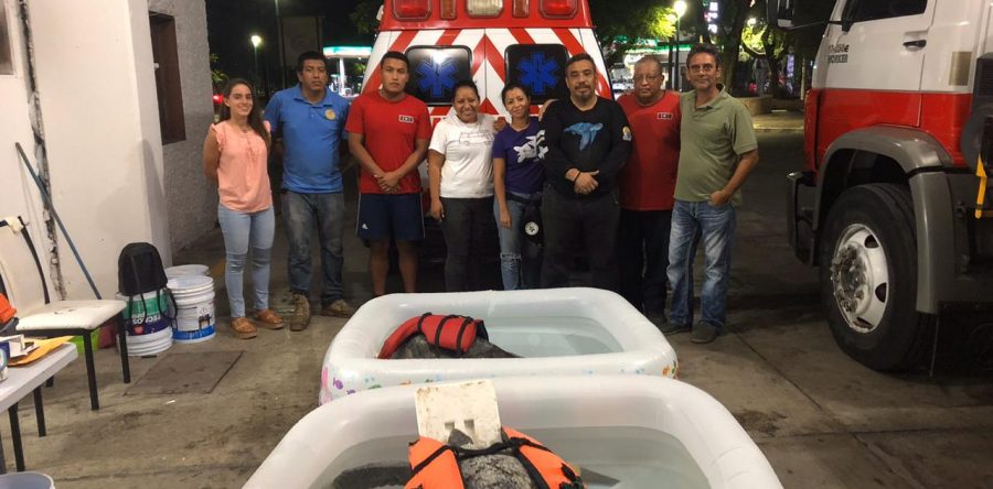 Habilitan subestación de Bomberos en Huatulco como refugio de tortugas marinas