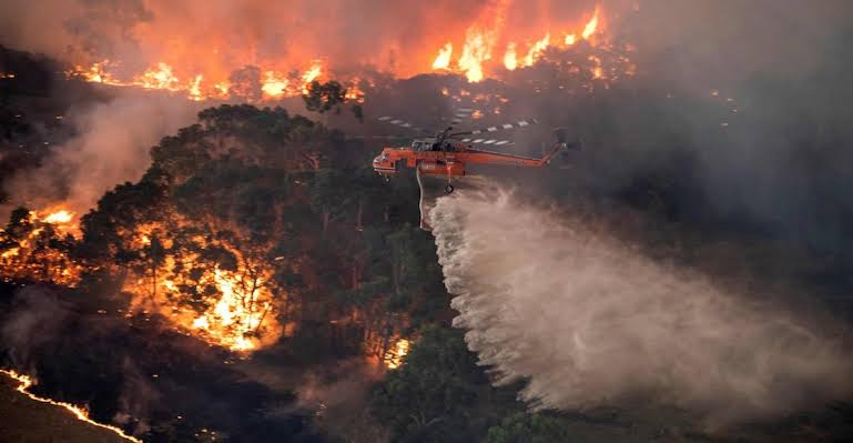 La tragedia de Australia y el cambio climático: *Francisco Ángel Maldonado Martínez