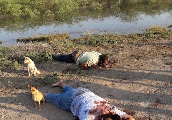 Narco, violencia y corrupción, parto hacia un México nuevo: Alfredo Martínez de Aguilar