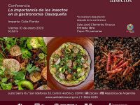 Oaxaca presente en la exposición “El Arte de Comer Insectos”
