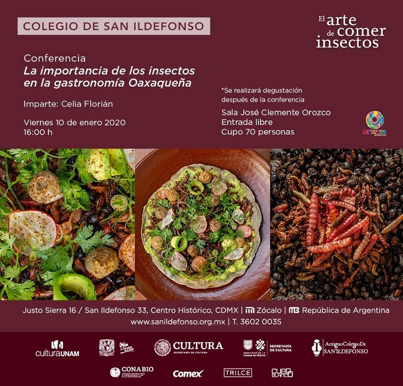 Oaxaca presente en la exposición “El Arte de Comer Insectos”