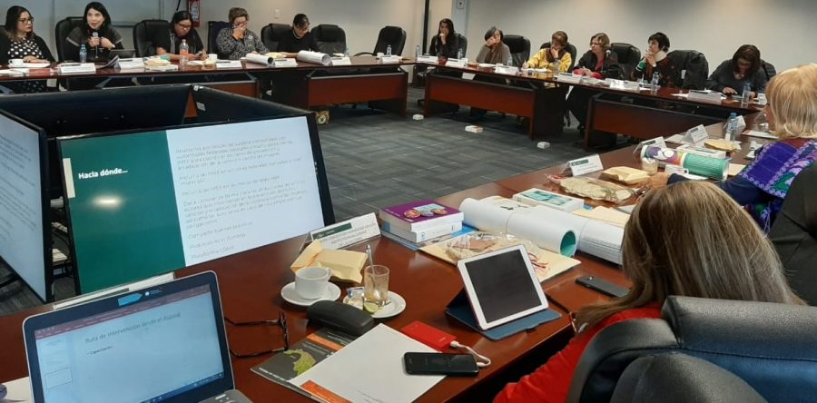 Asiste SMO a Reunión Nacional de Instancias para las Mujeres