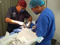 Invita SSO a hombres a realizarse la vasectomía sin bisturí
