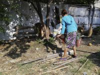 No dejes que los mosquitos entren a tu casa: SSO