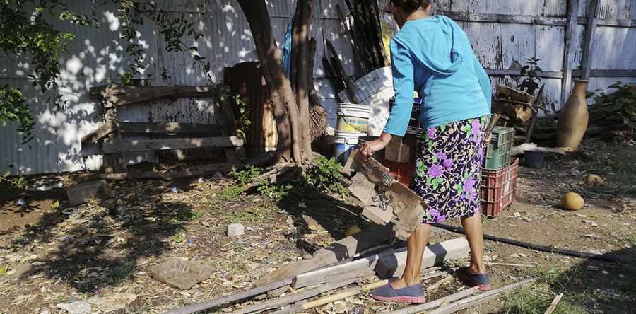 No dejes que los mosquitos entren a tu casa: SSO