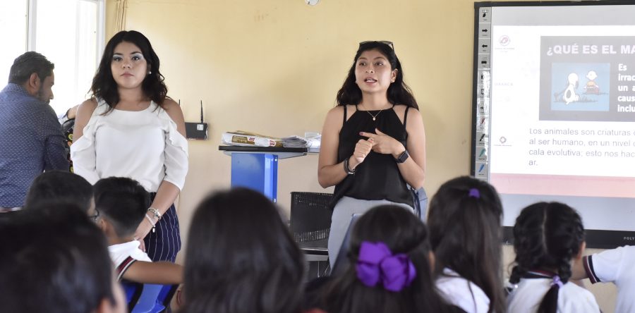 Incentiva Ayuntamiento capitalino cultura de protección animal en la niñez