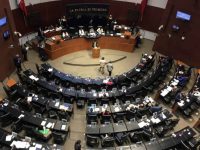 Senado: reelección de diputados a revisión