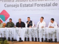 Gobiernos de Oaxaca y federal suman esfuerzos para preservar el patrimonio natural de la entidad