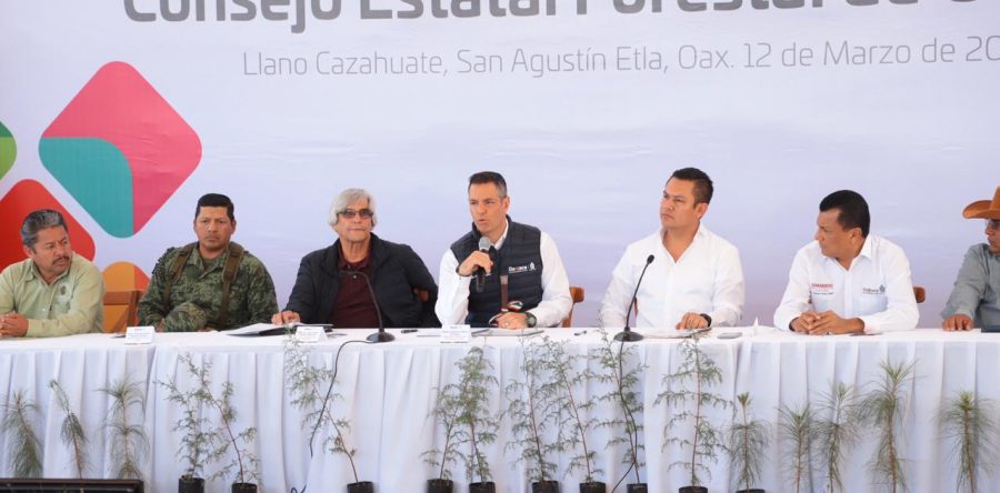 Gobiernos de Oaxaca y federal suman esfuerzos para preservar el patrimonio natural de la entidad