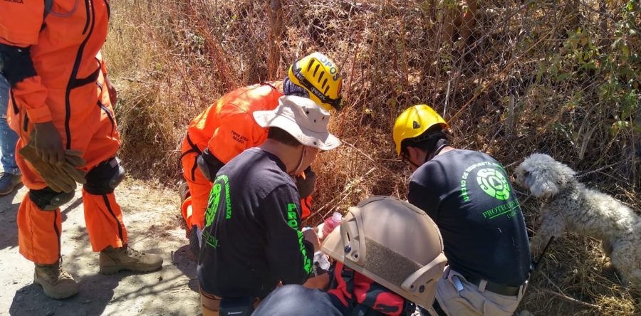 Mediante operativo de búsqueda localizan a menor de edad desaparecido en Huayapam: CEPCO