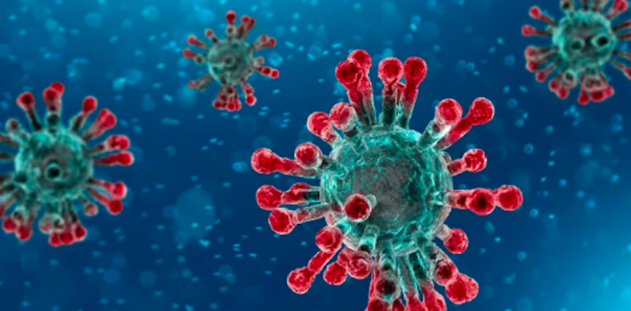 COVID19: parto de nuevos liderazgos: Moisés Molina