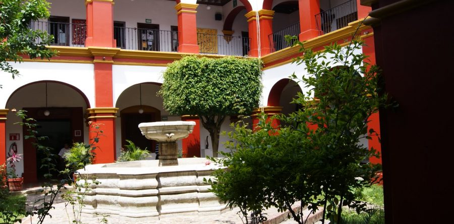 Suspende CCO talleres y actividades públicas hasta nuevo aviso