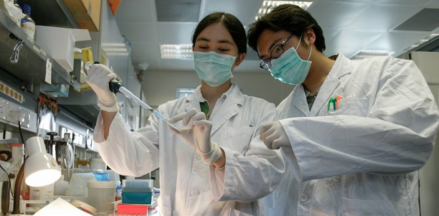 OMS confirma existencia de perro contagiado con coronavirus Covid-19