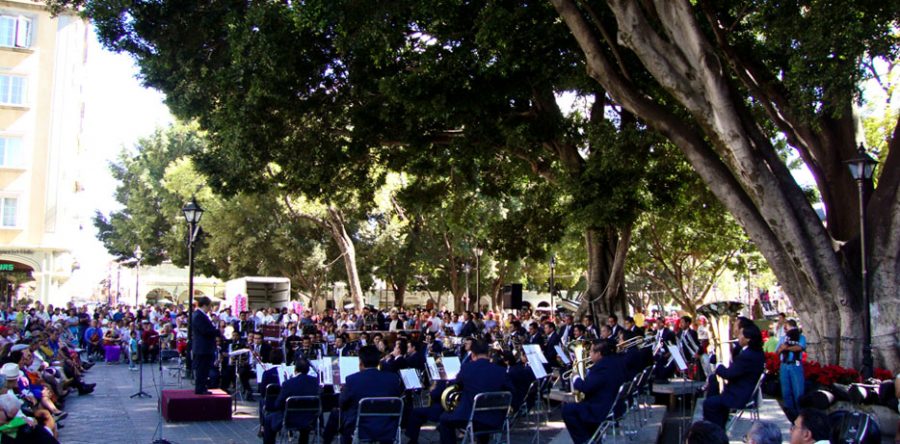 Suspende Seculta a partir de este domingo los conciertos “Bajo El Laurel”