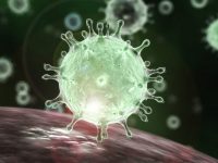El nuevo coronavirus, los costos sociales y económicos de la pandemia a nivel mundial: Francisco Ángel Maldonado Martínez*