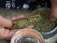 Comisiones del Senado aprueban uso lúdico de la mariguana