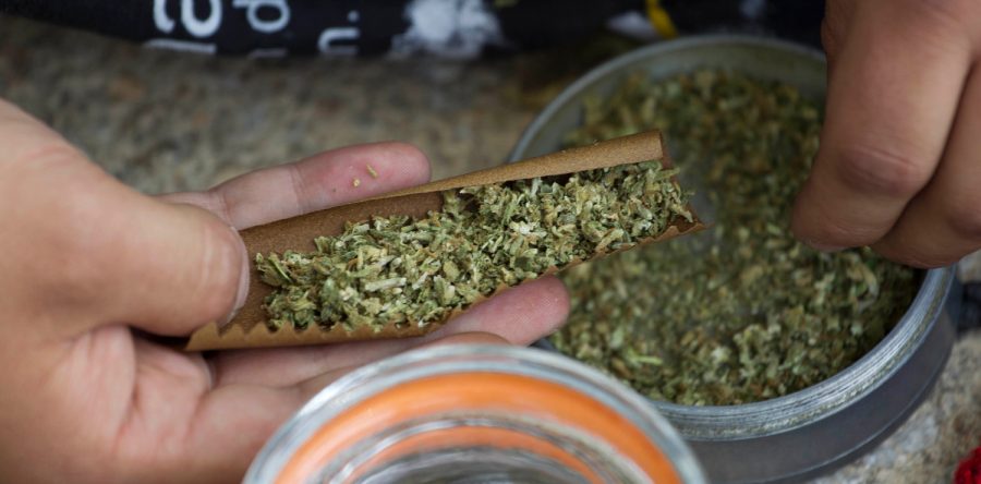 Comisiones del Senado aprueban uso lúdico de la mariguana