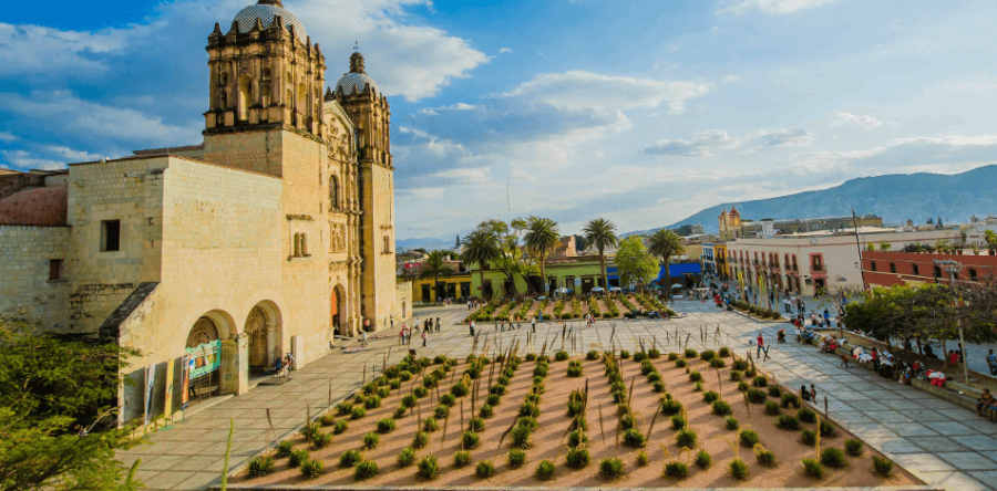 Oaxaca lo tiene todo: Francisco Ángel Maldonado Martínez*