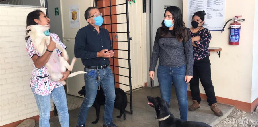 Corrobora Ayuntamiento capitalino buen trato a animales en la Facultad de Veterinaria de la UABJO