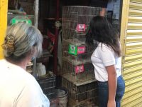 Atiende Alcaldía Municipal denuncia por presunto maltrato animal en el Mercado de Abasto